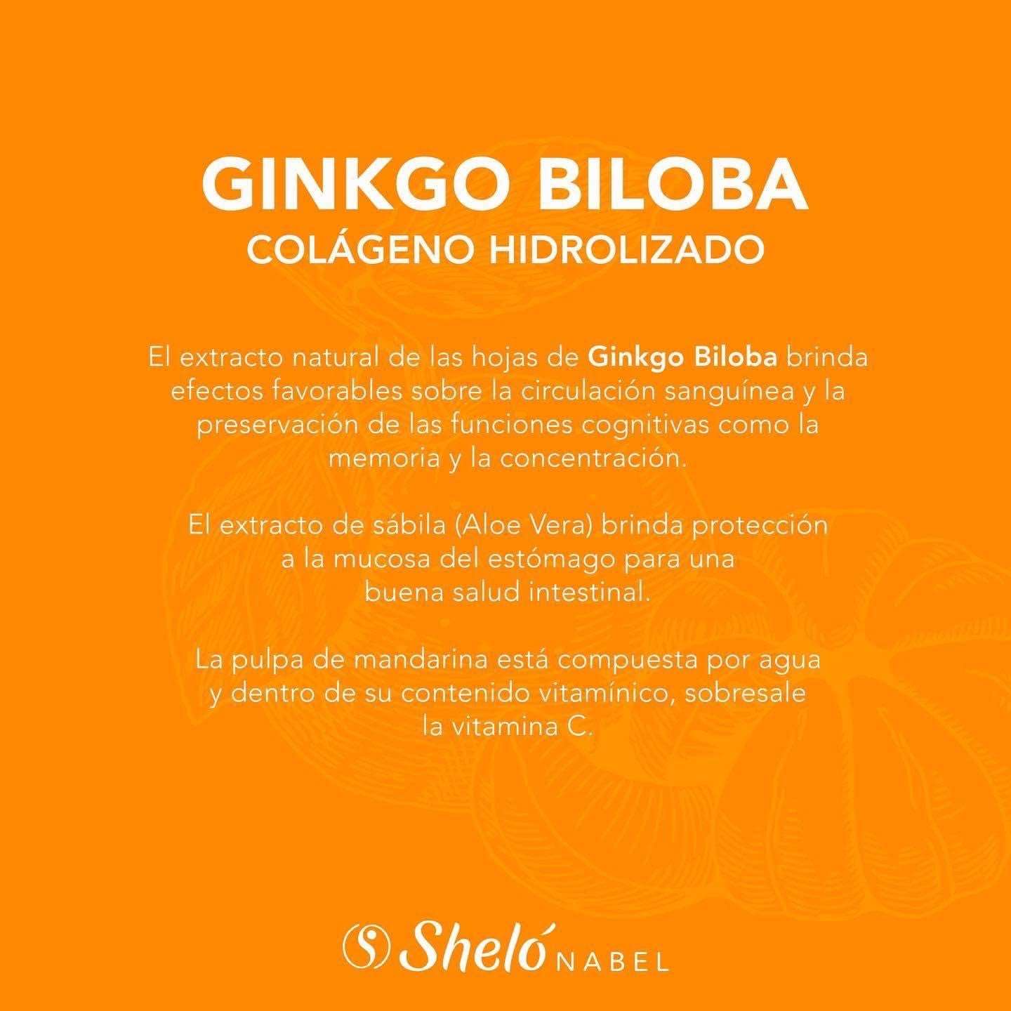 GINKGO BILOBA COLÁGENO HIDROLIZADO SABOR MANDARINA