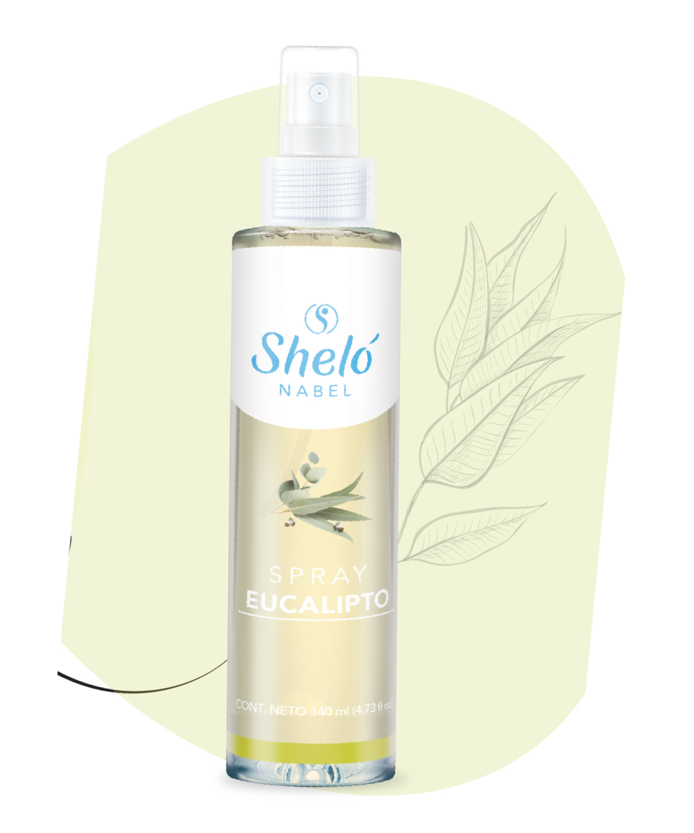 EUCALYPTUS SPRAY