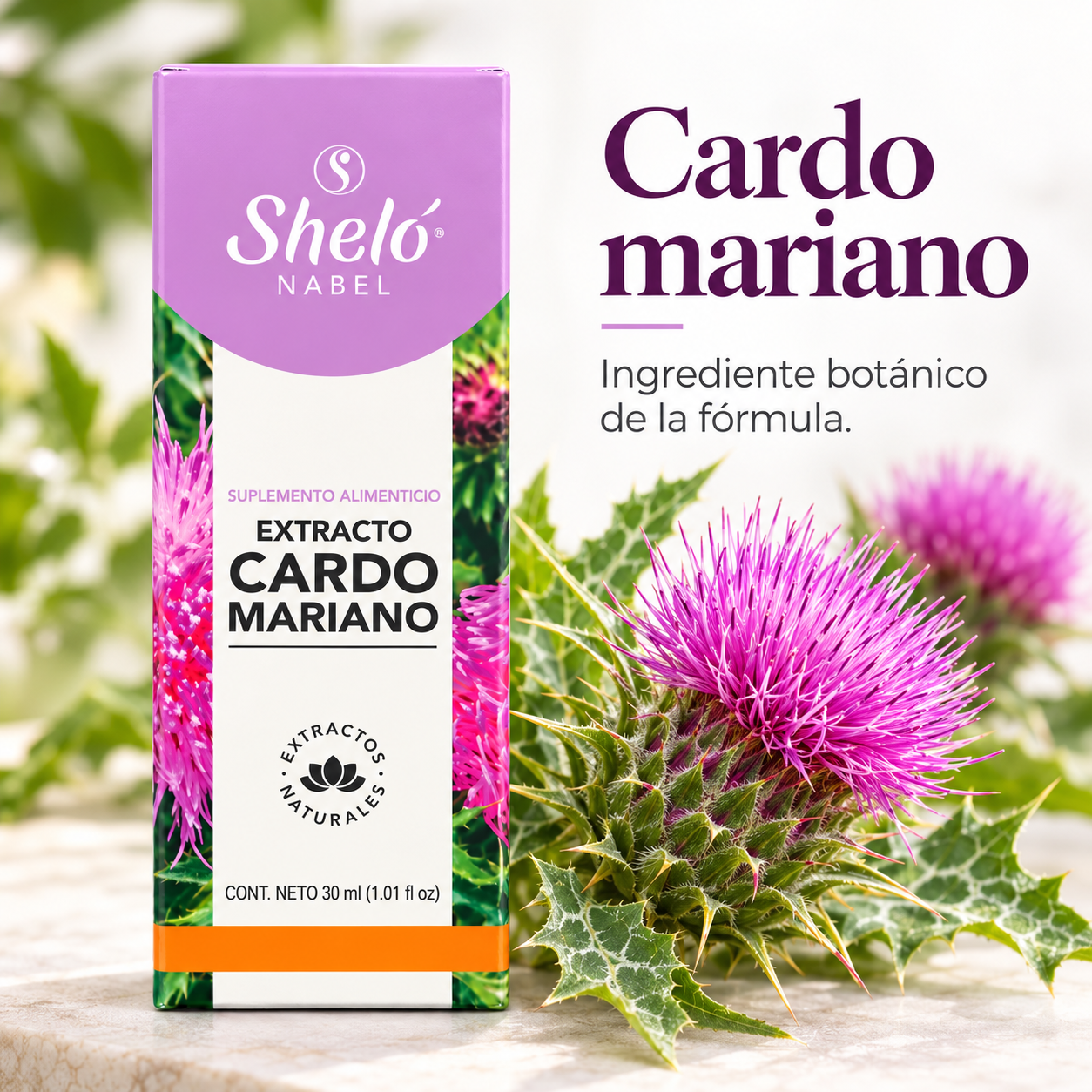 PURGING MILK THISTLE EXTRACT