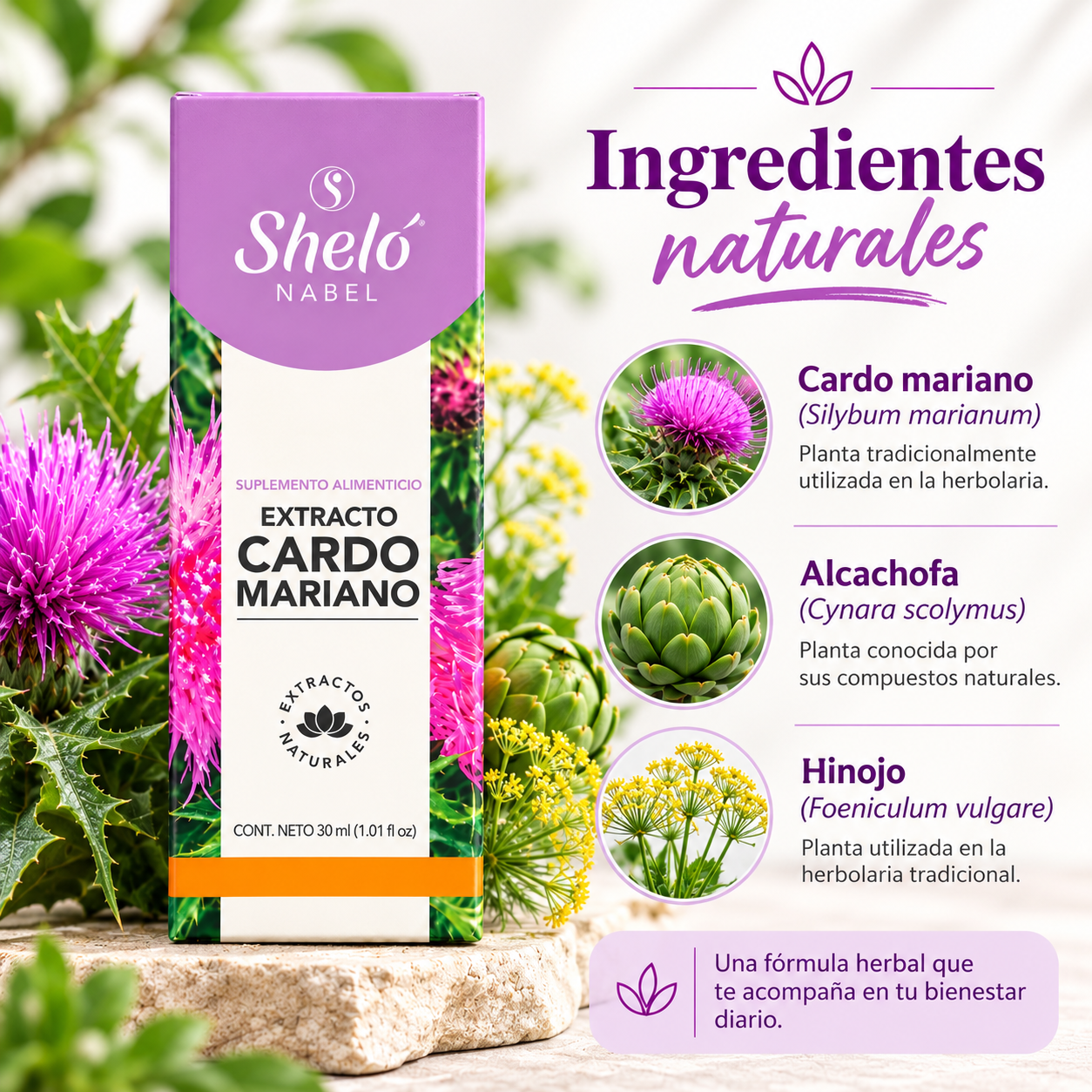 PURGING MILK THISTLE EXTRACT