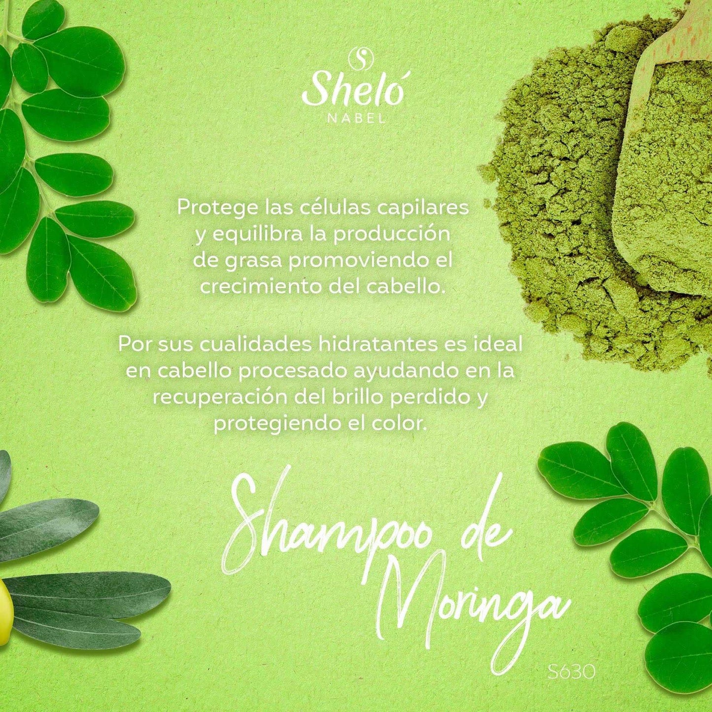 SHAMPOO DE MORINGA