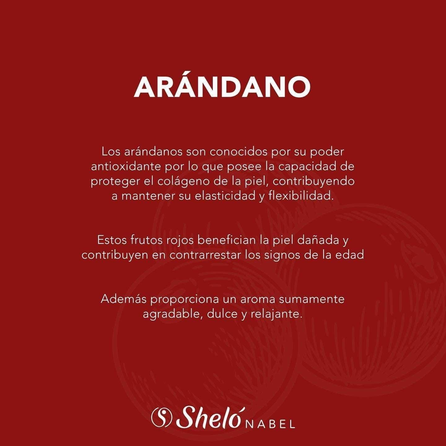 ARANDANO SHAMPOO CORPORAL